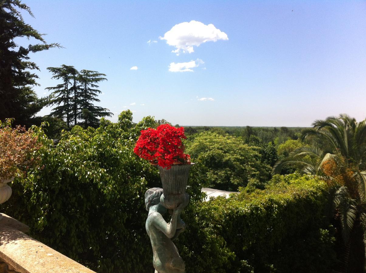 Villa San Gimignano 산 이시드로 외부 사진